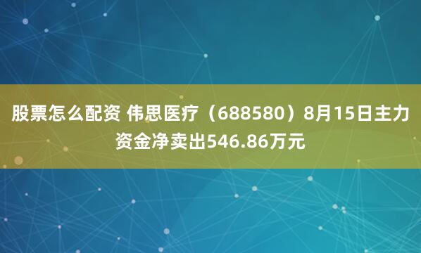 股票怎么配资 伟思医疗（688580）8月15日主力资金净卖出546.86万元
